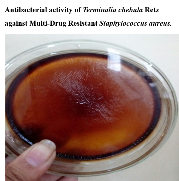 Isolation and Identification of Multidrug Resistant Bacteria from
